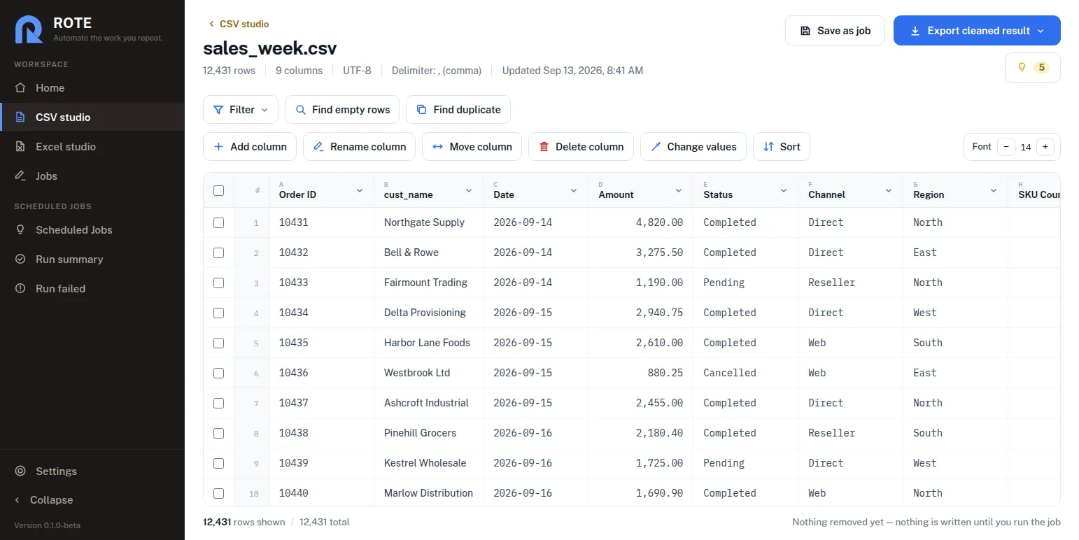 The Rote CSV studio: a table of orders with columns for Order ID, customer name, date, amount, status, channel and region. A toolbar above offers Filter, Find empty rows, Find duplicate, Add column, Rename column, Move column, Delete column, Change values and Sort.
